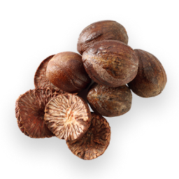 Nutmeg
