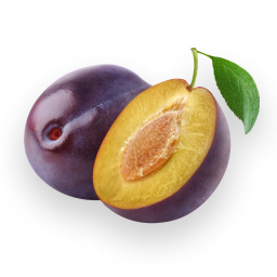 Plum