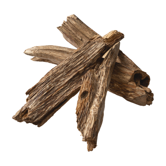 What Does Oud Smell Like?