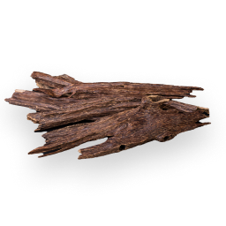 What Does Oud Smell Like?