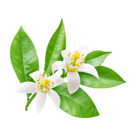 What is Neroli?