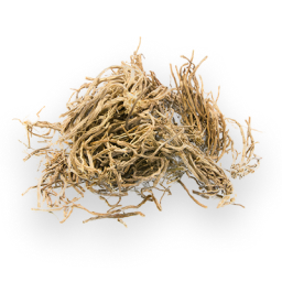 What is Vetiver?