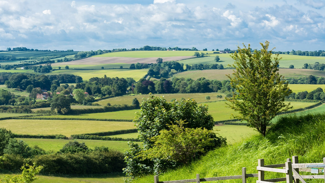 Exploring Boadicea's Britain