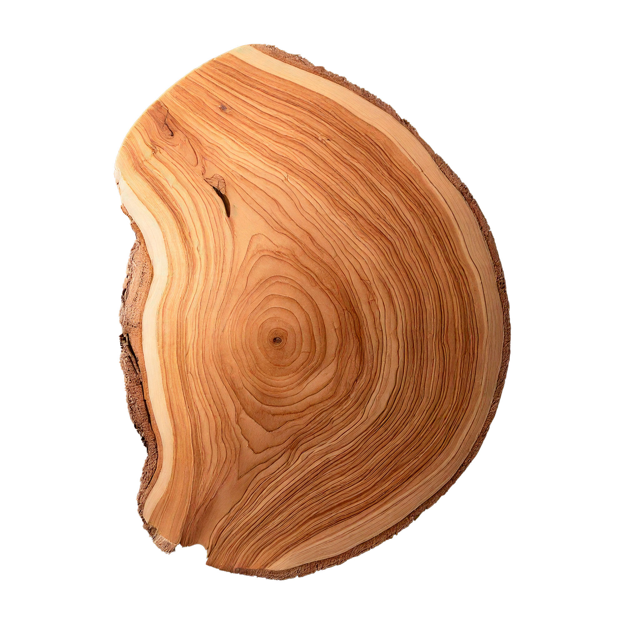 Cashmere Wood
