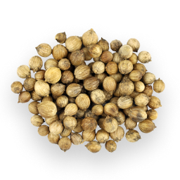 Coriander Seed