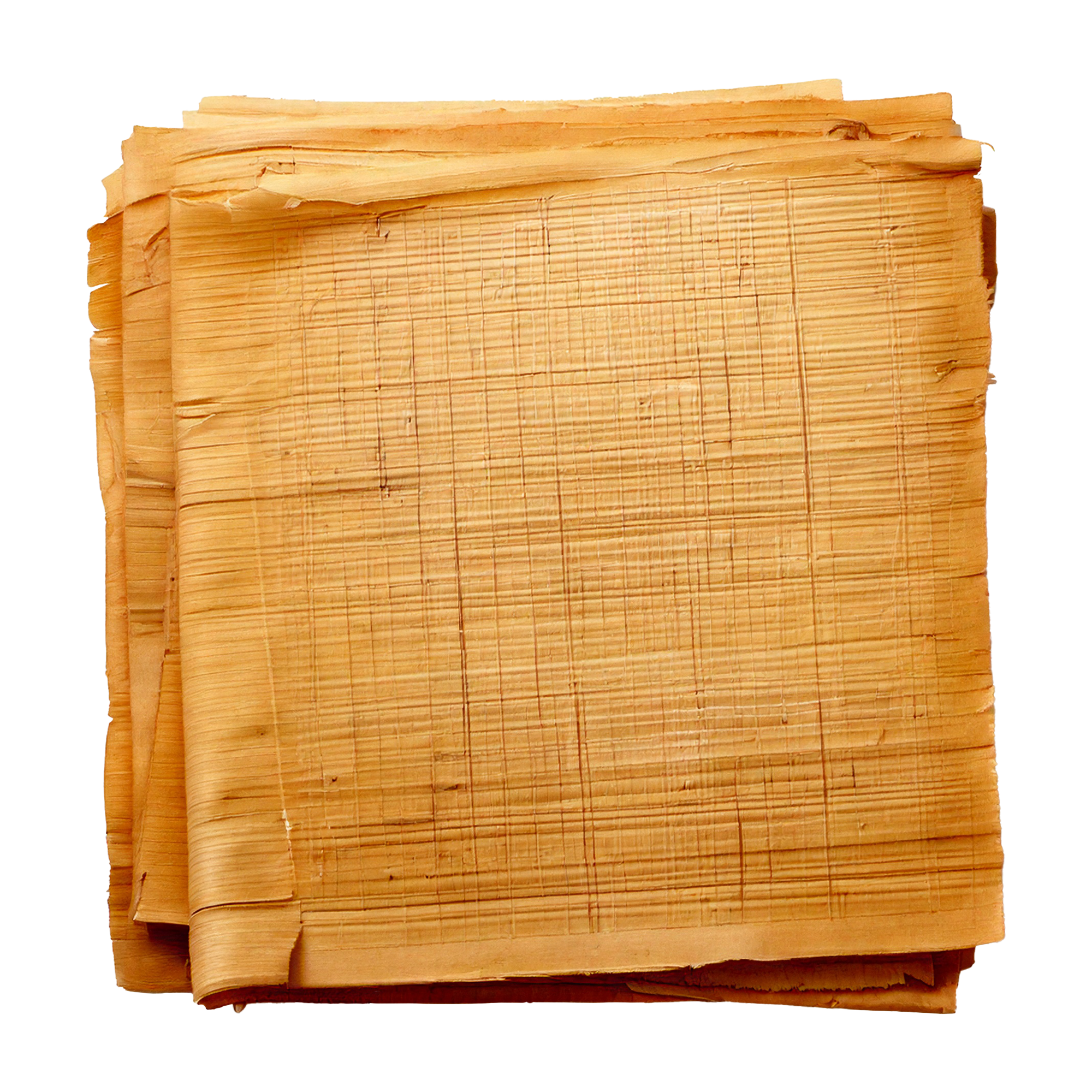 Papyrus