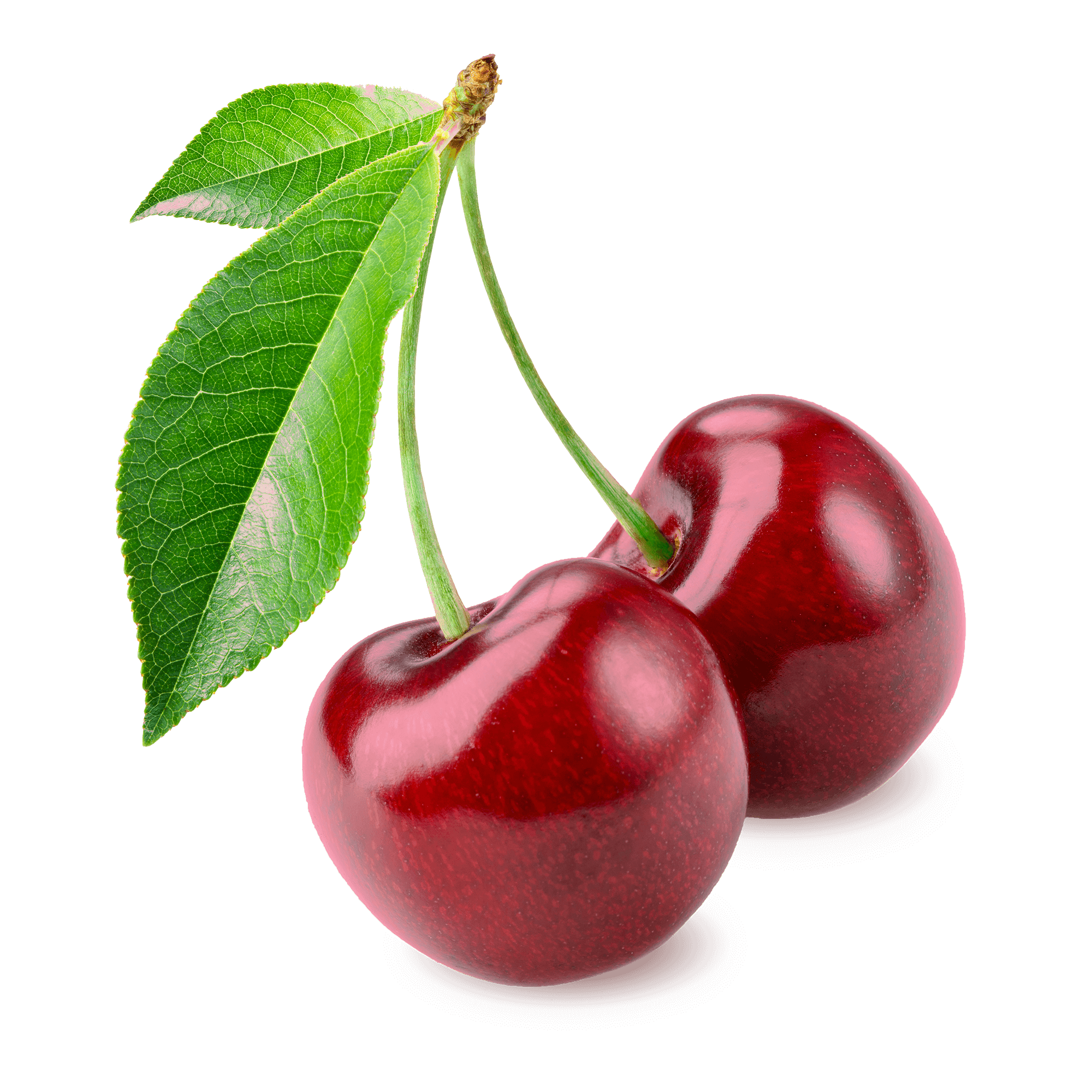 Sour Cherry