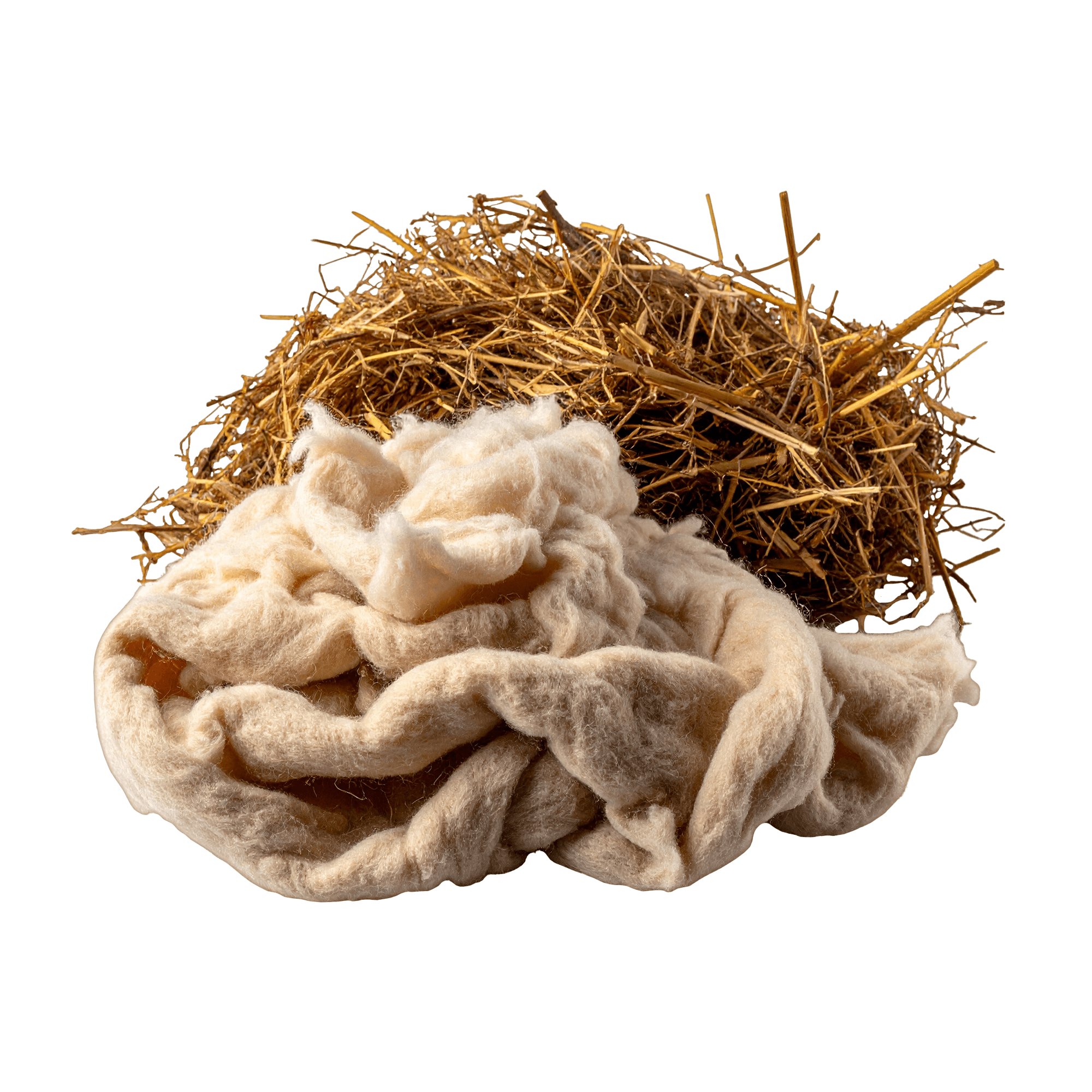 Vetiver Cashmere